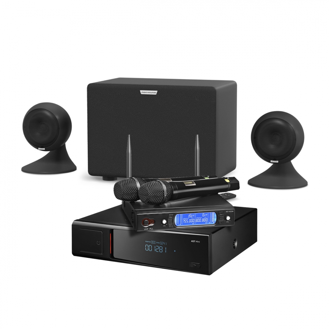 караоке-комплект AST Mini Sound Sphere в Выборге