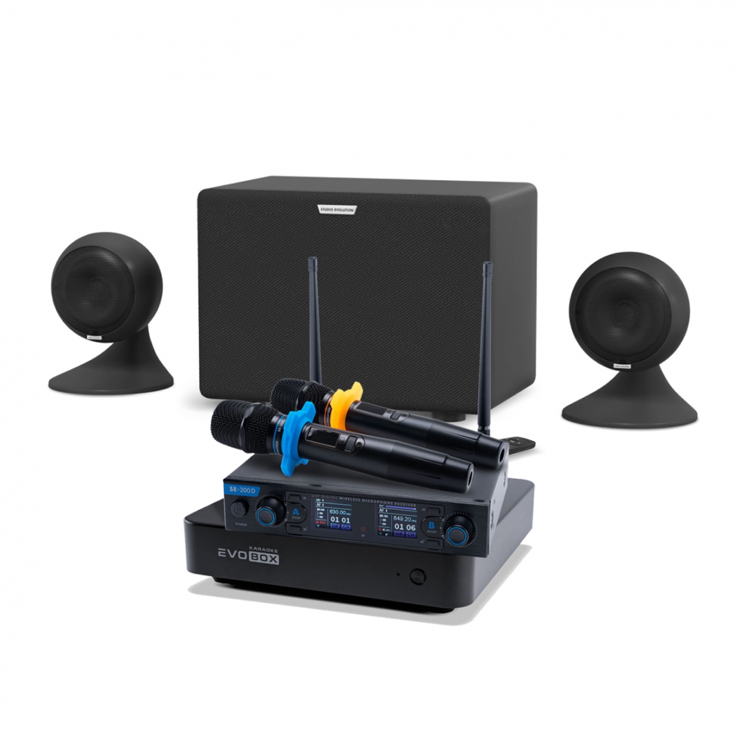 караоке-комплект EVOBOX + EvoSound Sphere 2.1 в Выборге