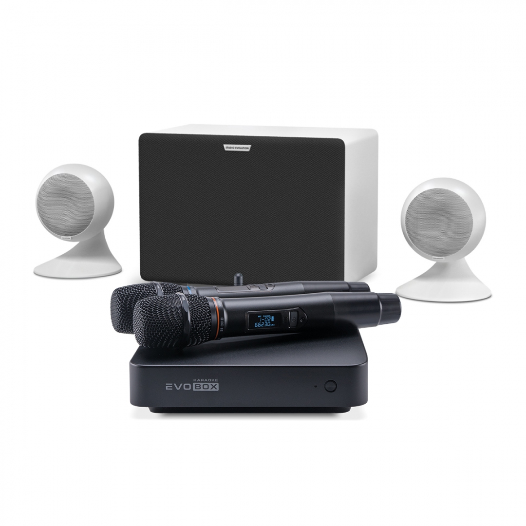 караоке-комплект EVOBOX Classic + EvoSound Sphere 2.1 в Выборге