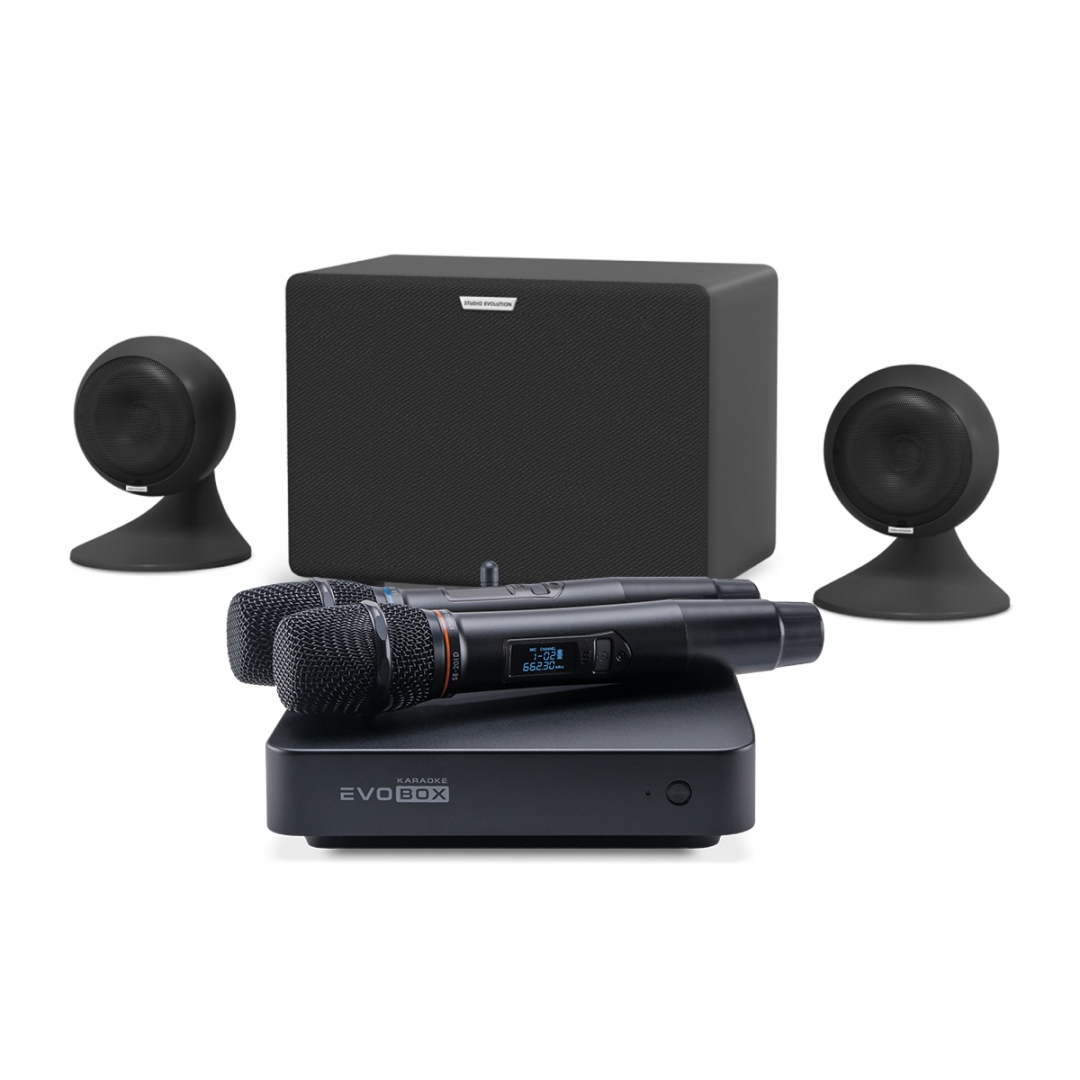 караоке-комплект EVOBOX Plus + EvoSound Sphere 2.1 в Выборге