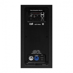 Активная акустическая система AST-310A в Выборге