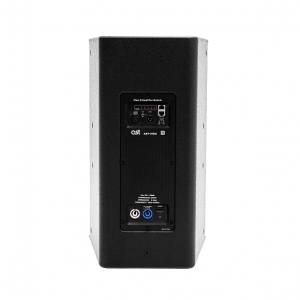 Активная акустическая система AST-310A в Выборге