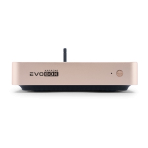 EVOBOX Classic караоке-система для дома в Выборге