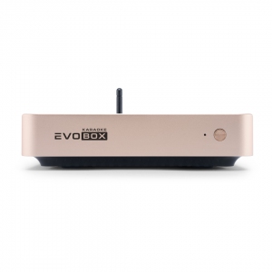 EVOBOX Plus караоке-система для дома в Выборге