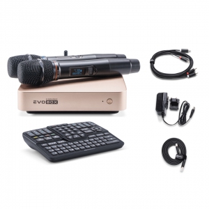 EVOBOX Plus караоке-система для дома в Выборге