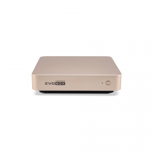 EVOBOX с микрофонами в Выборге