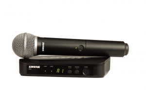 SHURE BLX24E/PG58 M17 вокальная радиосистема в Выборге